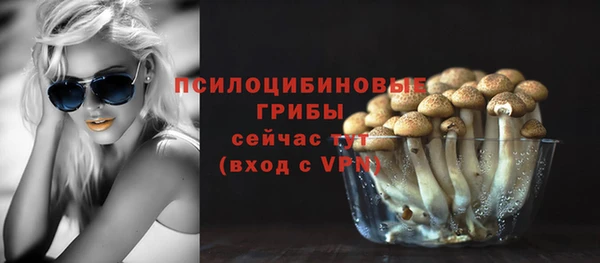 а пвп мука Каменногорск