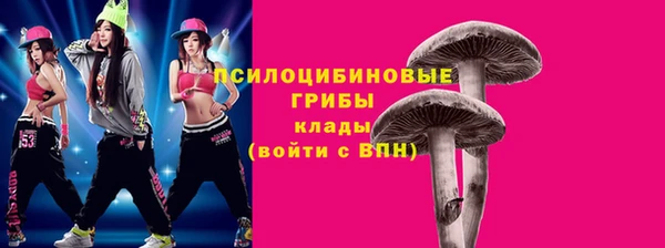 а пвп мука Каменногорск