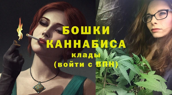 spice Каменка
