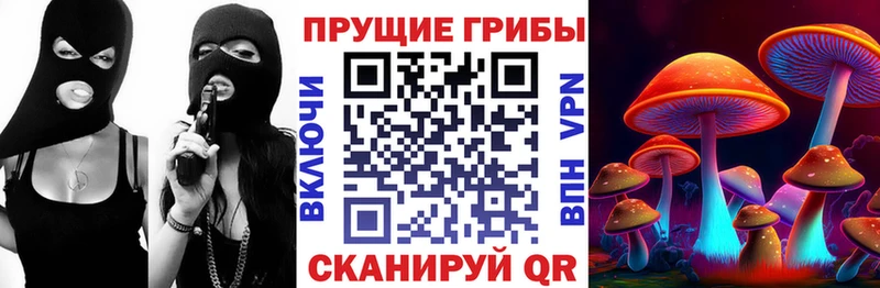 Псилоцибиновые грибы мухоморы  магазин продажи наркотиков  Кедровый 